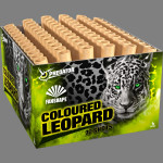 COLOURED LEOPARD